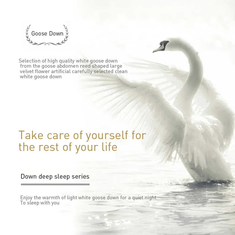 Liv-Esthete White Goose Down Pillow